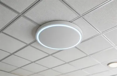 Wireless Access Points